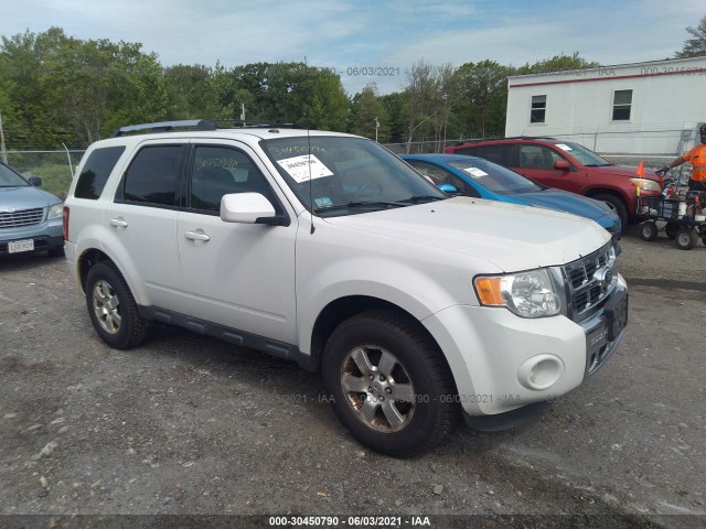 Ford Escape (2011)