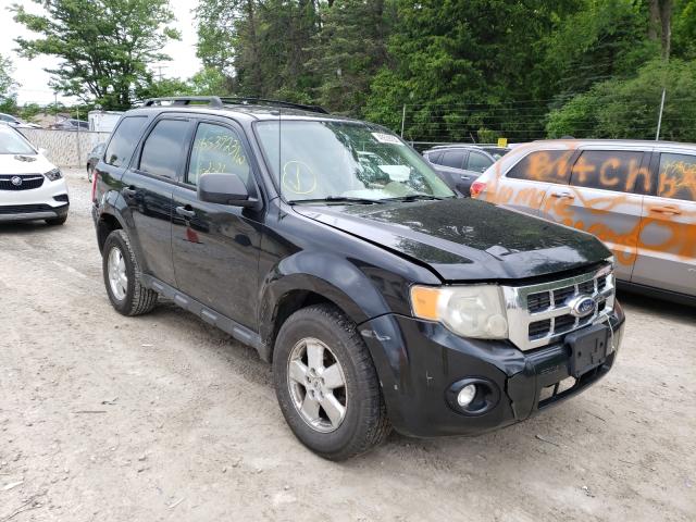 Ford Escape xlt (2011)