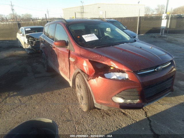 Ford Escape (2014)