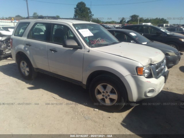 Ford Escape (2010)