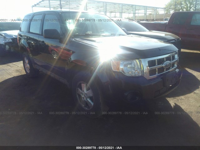 Ford Escape (2010)