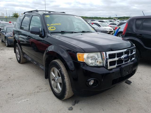 Ford Escape xlt (2010)