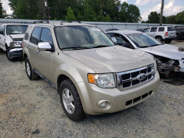Ford Escape xlt (2010)