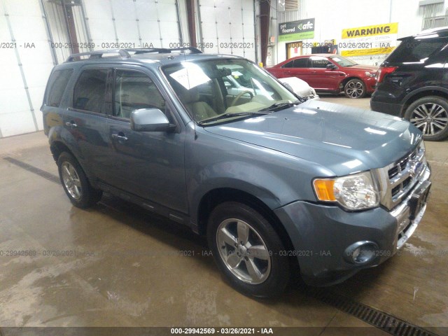 Ford Escape (2011)