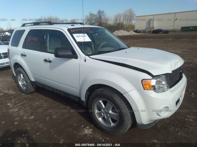 Ford Escape (2011)