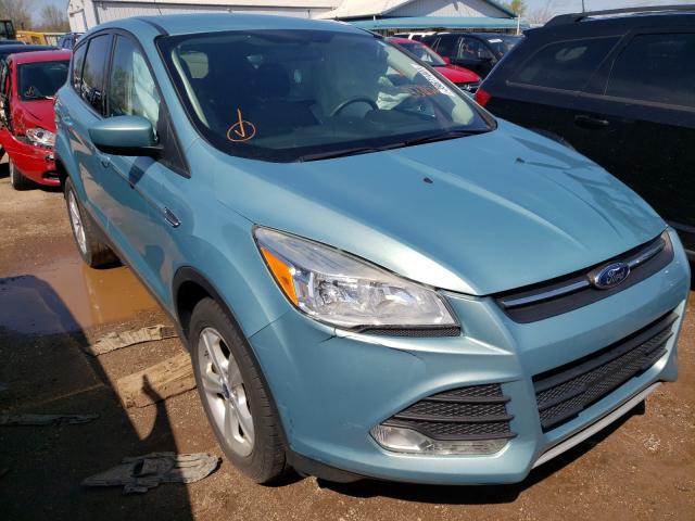 Ford Escape se (2013)