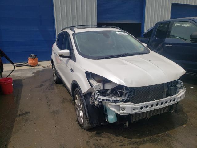 Ford Escape sel (2013)