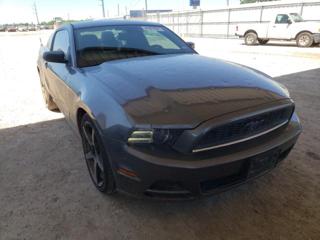 Ford Mustang (2013)