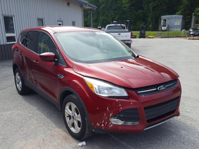 Ford Escape se (2014)