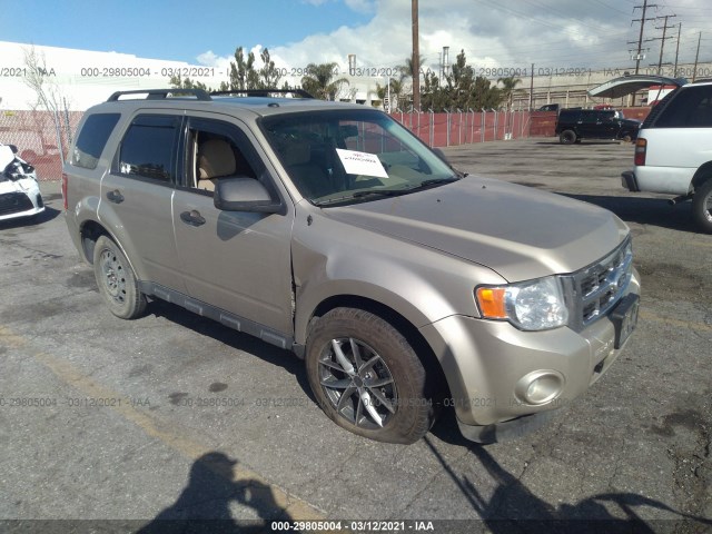 Ford Escape (2010)