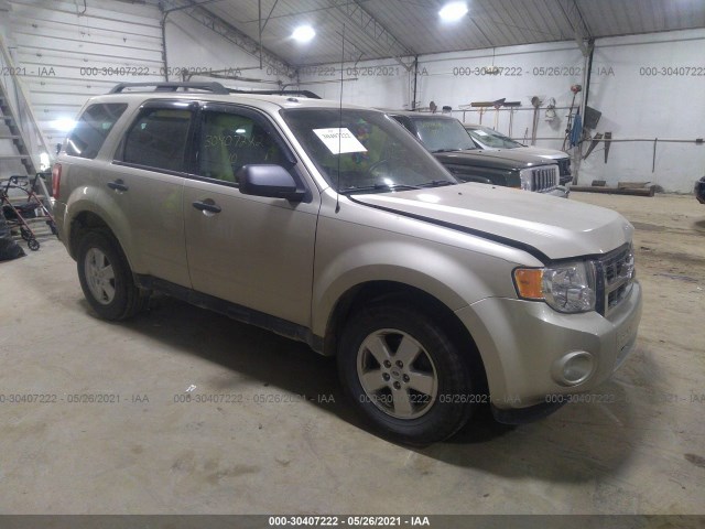 Ford Escape (2010)