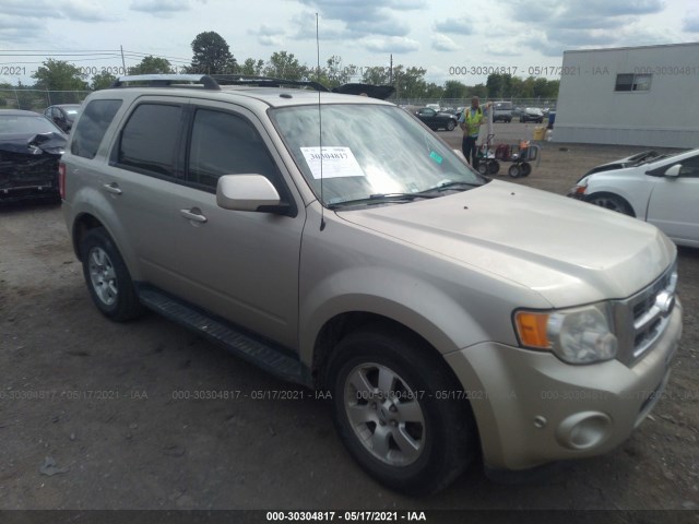 Ford Escape (2010)