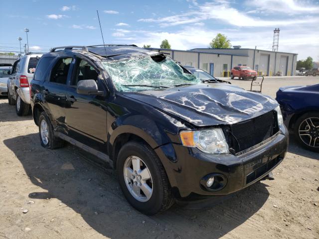 Ford Escape xlt (2010)