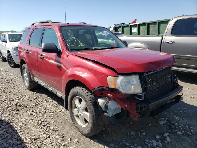 Ford Escape xlt (2010)