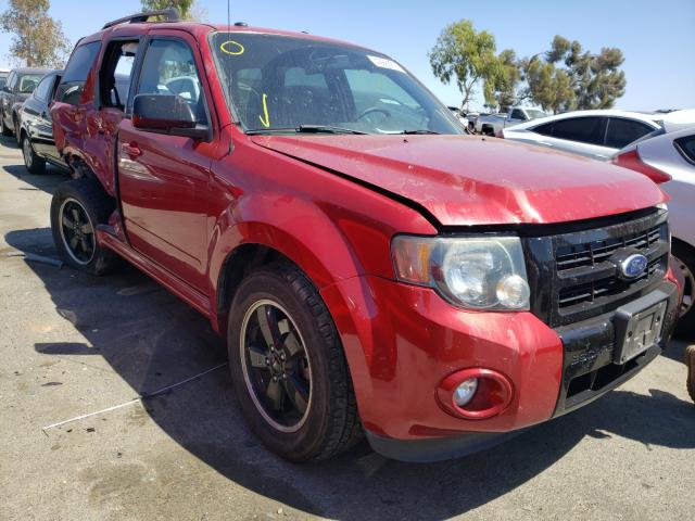 Ford Escape xlt (2010)