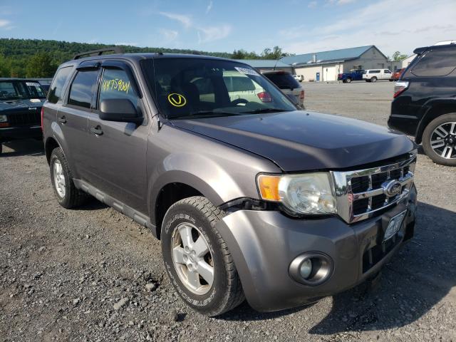 Ford Escape xlt (2010)