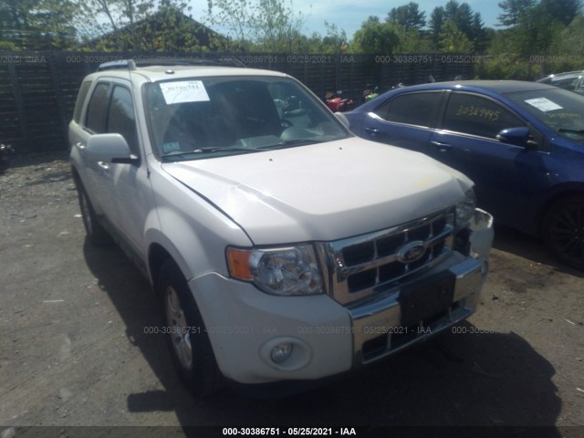 Ford Escape (2011)
