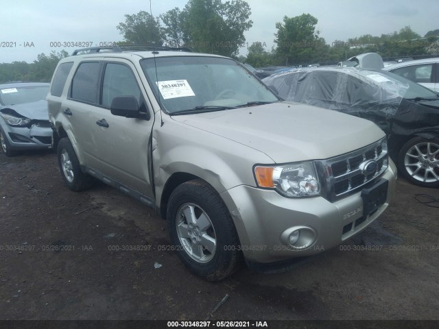 Ford Escape (2012)