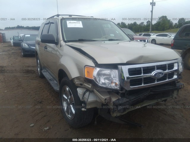 Ford Escape (2010)