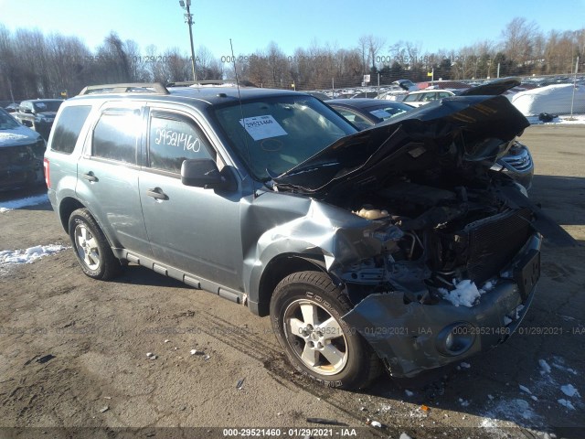 Ford Escape (2010)