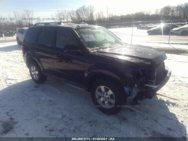 Ford Escape (2010)