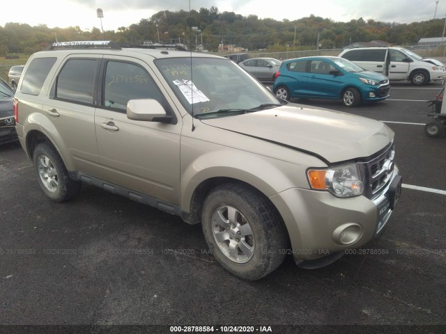 Ford Escape (2010)