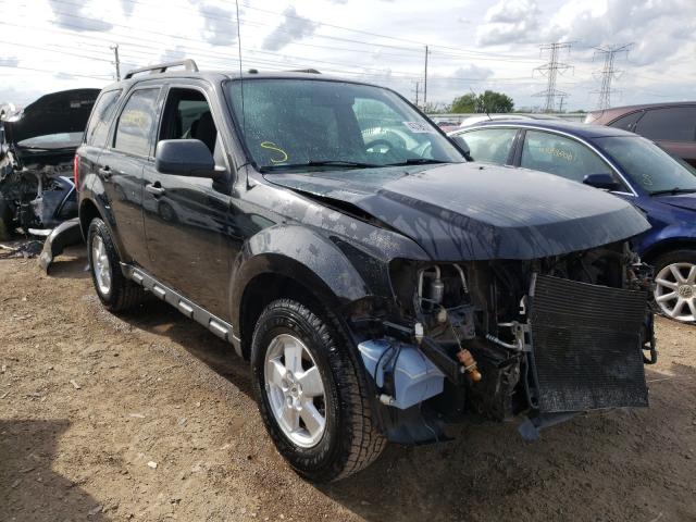 Ford Escape xlt (2010)