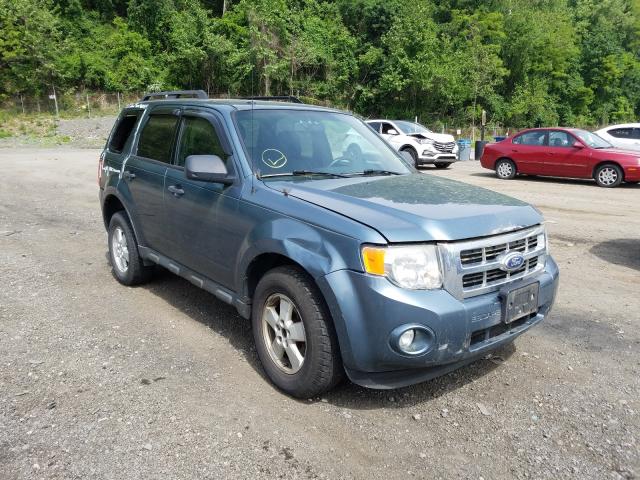Ford Escape xlt (2010)