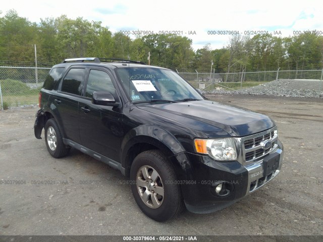 Ford Escape (2011)