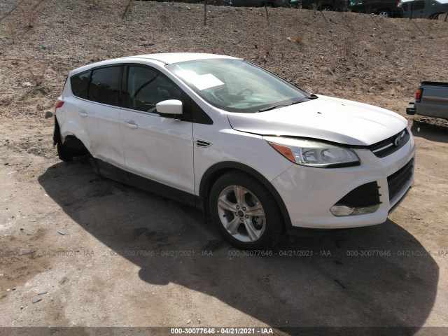 Ford Escape (2014)