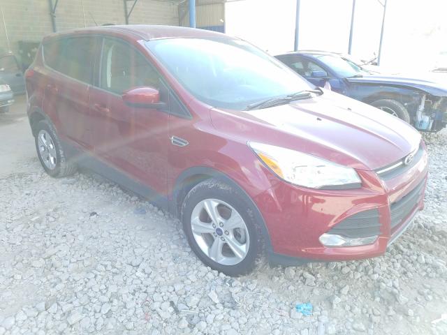 Ford Escape se (2014)