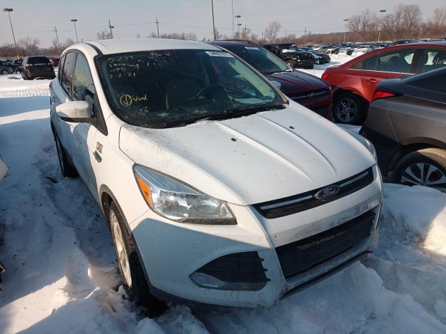 Ford Escape se (2016)