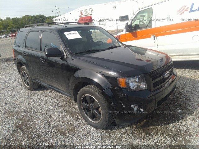 Ford Escape (2010)