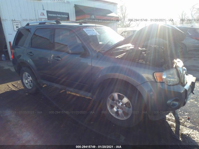 Ford Escape (2010)