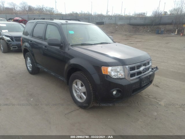 Ford Escape (2011)
