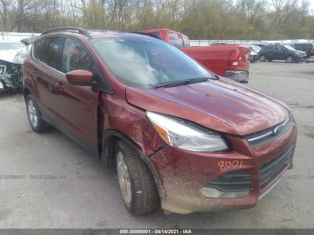 Ford Escape (2014)