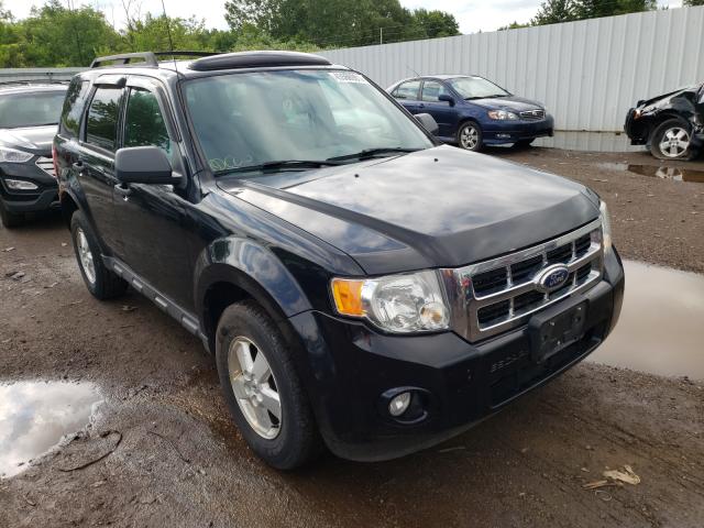 Ford Escape xlt (2010)