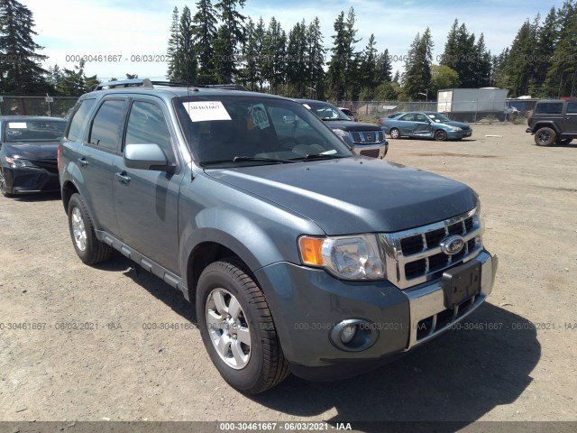 Ford Escape (2011)