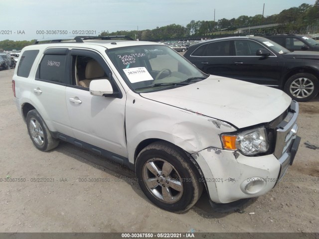 Ford Escape (2011)