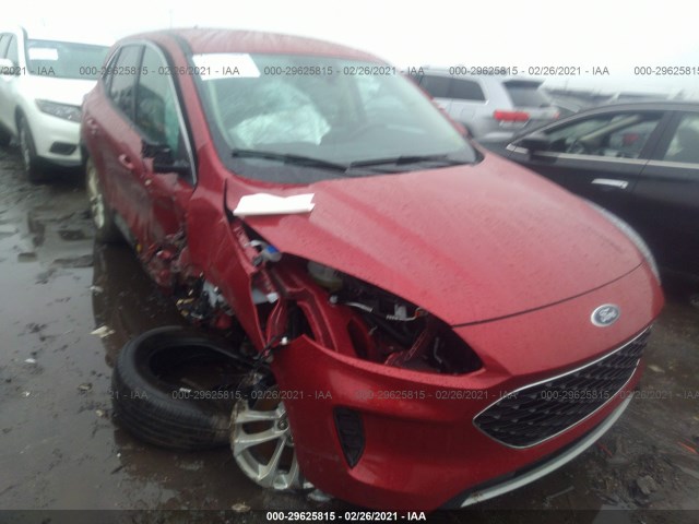 Ford Escape (2020)