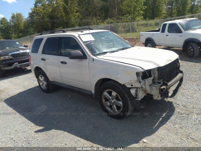 Ford Escape (2010)