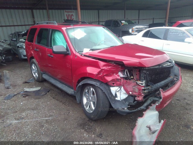 Ford Escape (2010)