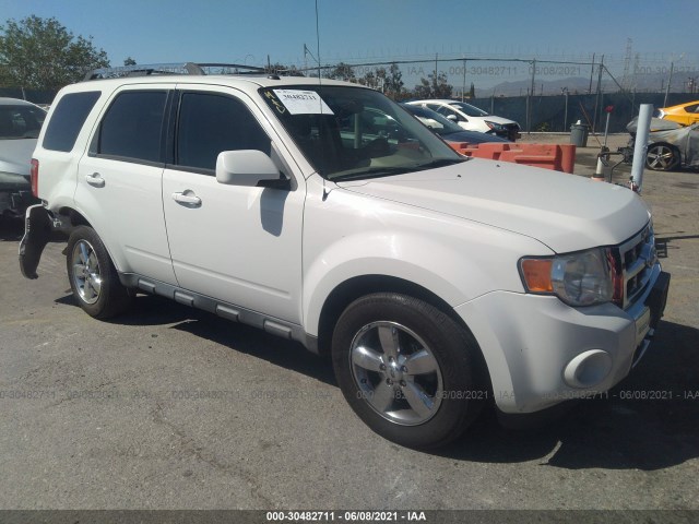 Ford Escape (2010)