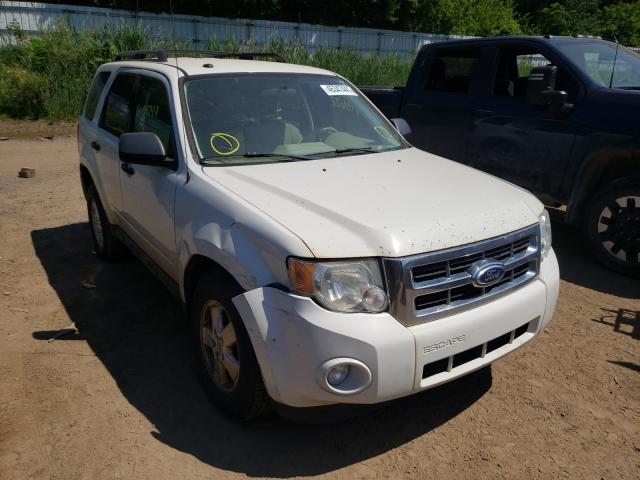 Ford Escape xlt (2011)