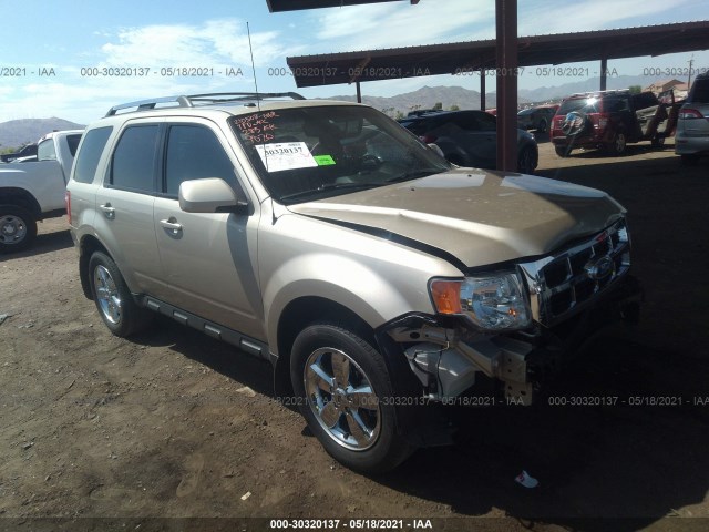 Ford Escape (2012)