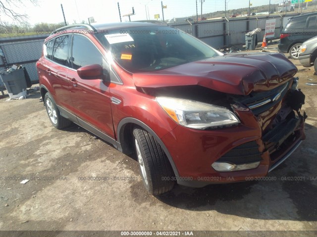 Ford Escape (2014)