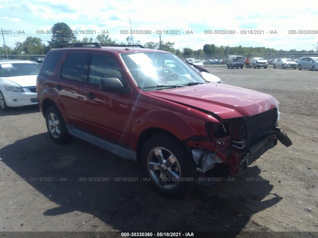 Ford Escape (2011)