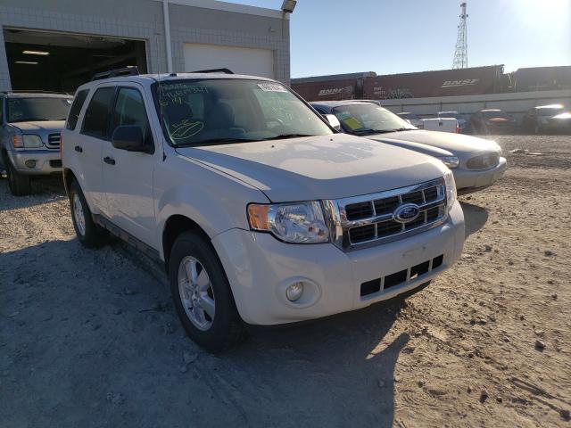 Ford Escape xlt (2010)