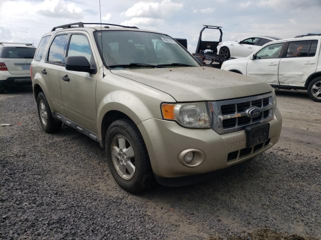 Ford Escape xlt (2010)
