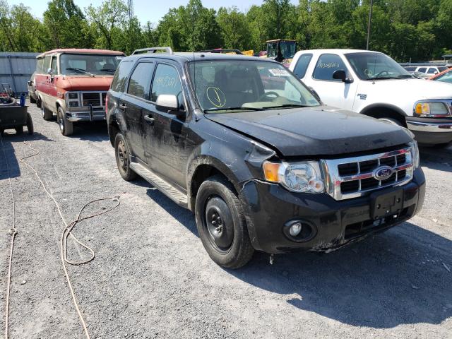 Ford Escape xlt (2011)